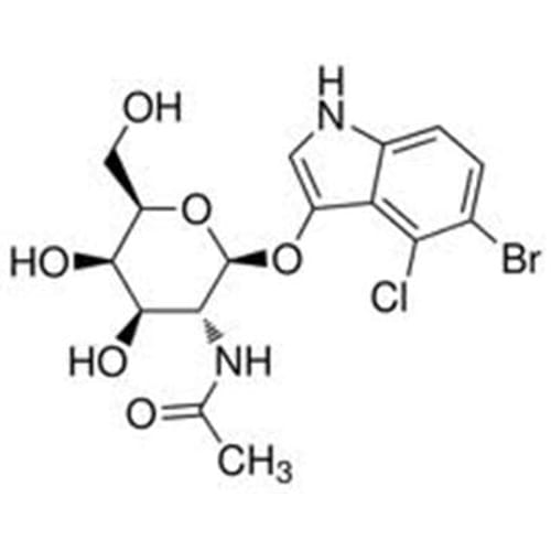 5-Bromo-4-chloro-3-indoxyl-N-acetyl-beta-D-galactosaminide