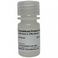 Immobilized Protein A
