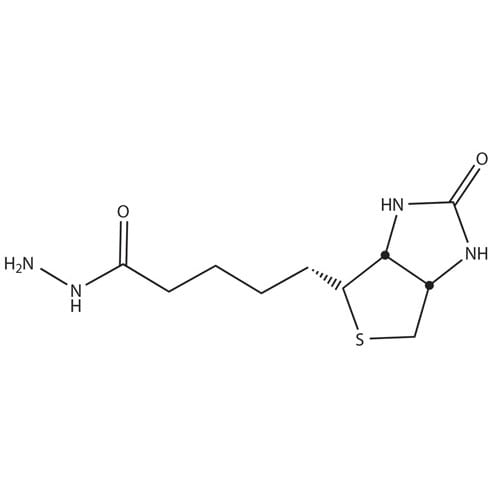 HOOK™-Biotin-Hydrazide