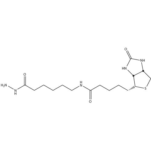 HOOK™-Biotin-LC-Hydrazide