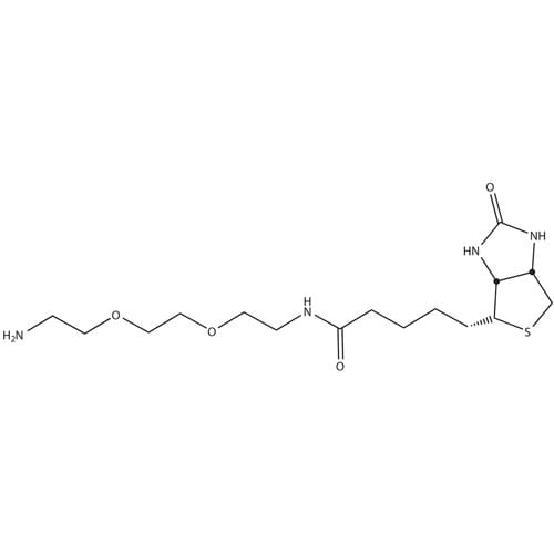 HOOK™-Biotin-PEG2-Amine