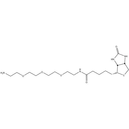 HOOK™-Biotin-PEG3-Amine
