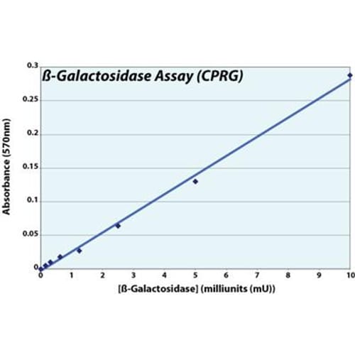 β-Galactosidase Assay (CPRG)