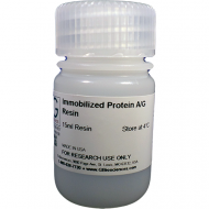 Immobilized Protein A/G