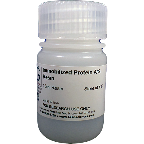 Immobilized Protein A/G