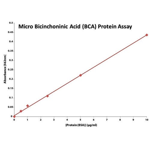 BCA Protein Assay for Dilute Samples
