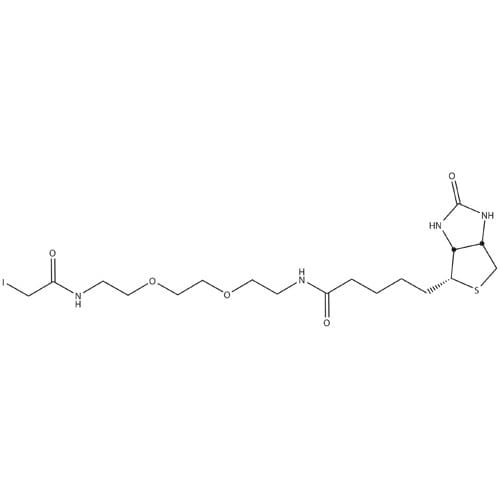 HOOK™-PEG2-Iodoacetyl-Biotin