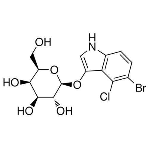 X-Gal (5-Bromo-4-chloro-3-indoxyl-beta-D-galactopyranoside)