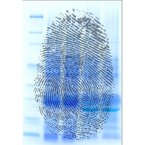 Protein Fingerprinting